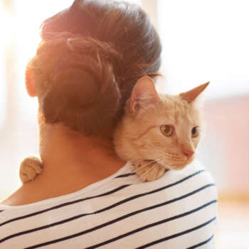 2-woman-hugging-ginger-cat-back-view-39ZAMCF