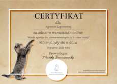 08-Certyfikat-agresja-case-study