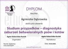 12-Agnieszka-Dabrowska-Studium-przypadkow