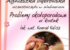 18-Certyfikat-problemy-okoloporodowe